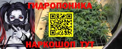 гидропоника Пушкино