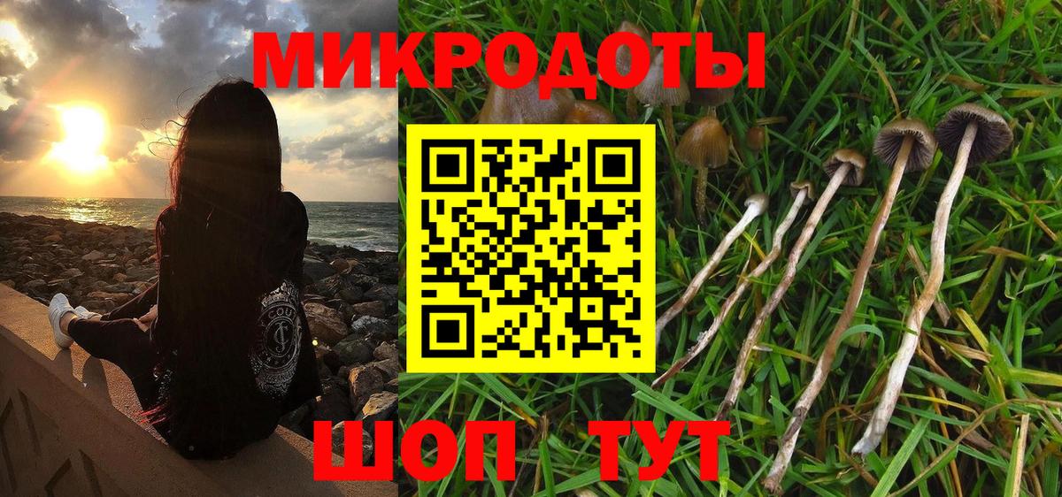 Галлюциногенные грибы Psilocybe Похвистнево
